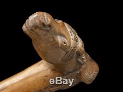 C1880 Kepkypa Corfu Carved Horse Head Walking Stick