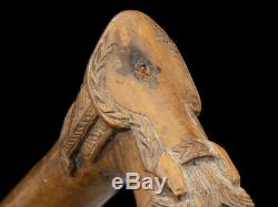 C1880 Kepkypa Corfu Carved Horse Head Walking Stick
