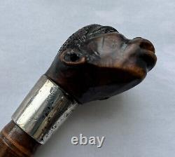 C19th African American Walking Stick / Cane Silver Collar London 1888 Superb