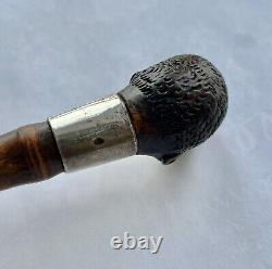 C19th African American Walking Stick / Cane Silver Collar London 1888 Superb