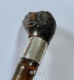 C19th African American Walking Stick / Cane Silver Collar London 1888 Superb