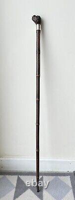 C19th African American Walking Stick / Cane Silver Collar London 1888 Superb