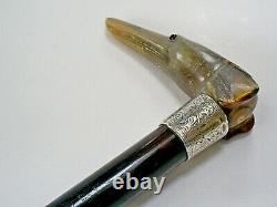 C19th Antique Carved Horn/dog Handle Hm Silver Band Ebonised Walking Stick/cane