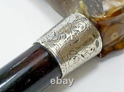 C19th Antique Carved Horn/dog Handle Hm Silver Band Ebonised Walking Stick/cane