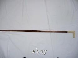 Ca 1900 ANTIQUE EUROPEAN WALKING STICK CANE BEAUTIFUL HUNT THEMED CARVED HANDLE