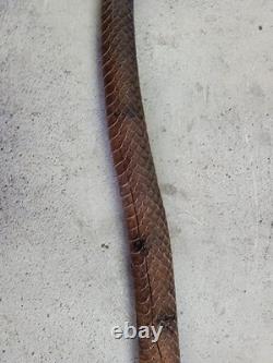 Cane Walking Stick Wooden Carved A Snake Date Of 24/10/1899 Monogram Je