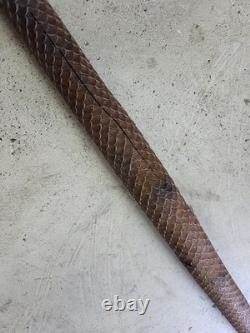 Cane Walking Stick Wooden Carved A Snake Date Of 24/10/1899 Monogram Je