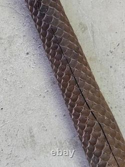 Cane Walking Stick Wooden Carved A Snake Date Of 24/10/1899 Monogram Je