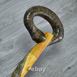 Cane Walking Stick Wooden carved Handmade Snake