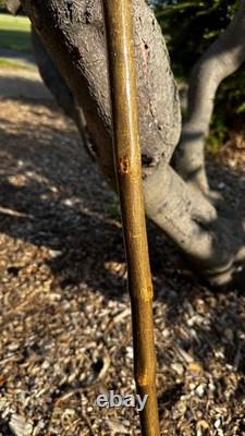 Carp fishing hand carved walking stick lime on hawthorn