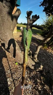 Carp fishing hand carved walking stick lime on hawthorn