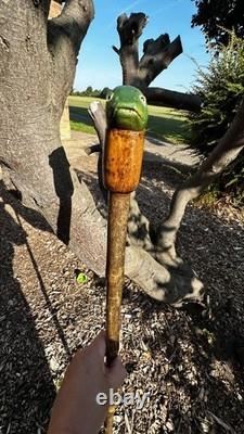 Carp fishing hand carved walking stick lime on hawthorn
