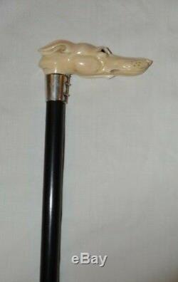 Carved Greyhound Handle Ebony Cane Walking Stick