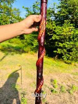 Carved Wooden Stick Eagle Head & Snake Climbing On A Tree Shaped Hand carved