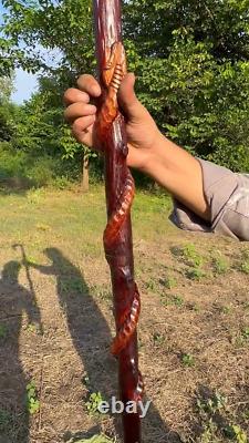 Carved Wooden Stick Eagle Head & Snake Climbing On A Tree Shaped Hand carved