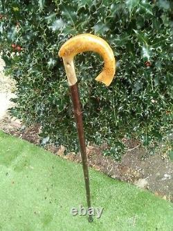 Carved rams horn Shepherds crook trout fishing interest