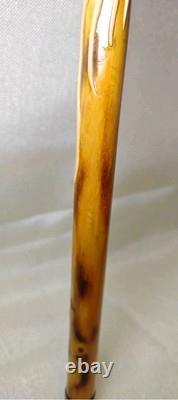 Chinese dragon walking stick, carved dragon nice wood circa 1910