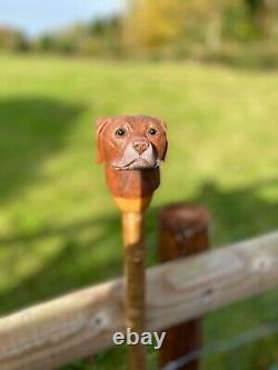 Chocolate Labrador Head, Hand Carved in Lime Country Walking stick
