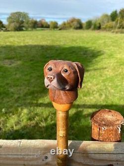 Chocolate Labrador Head, Hand Carved in Lime Country Walking stick