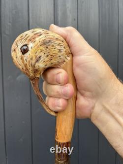 Collectors Hand Carved Curlew Head Walking Stick On Blackthorn Shank