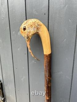 Collectors Hand Carved Curlew Head Walking Stick On Blackthorn Shank