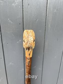 Collectors Hand Carved Curlew Head Walking Stick On Blackthorn Shank