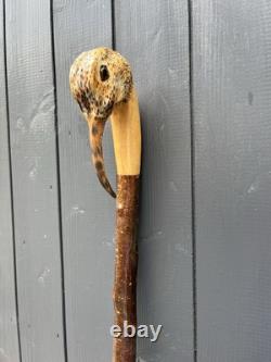 Collectors Hand Carved Curlew Head Walking Stick On Blackthorn Shank