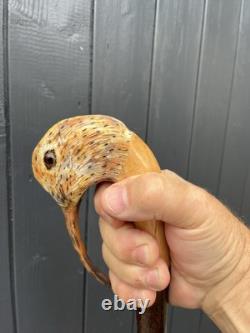 Collectors Hand Carved Curlew Head Walking Stick On Blackthorn Shank