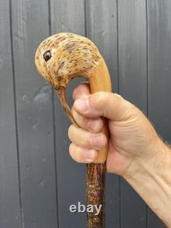 Collectors Hand Carved Curlew Head Walking Stick On Blackthorn Shank