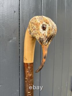 Collectors Hand Carved Curlew Head Walking Stick On Blackthorn Shank