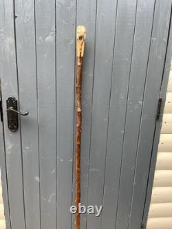 Collectors Hand Carved Curlew Head Walking Stick On Blackthorn Shank