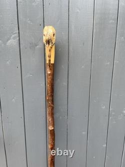 Collectors Hand Carved Curlew Head Walking Stick On Blackthorn Shank