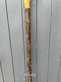 Collectors Hand Carved Curlew Head Walking Stick On Blackthorn Shank