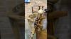Crocodile Alligator Hand Carved Walking Cane In Light Wood Shade