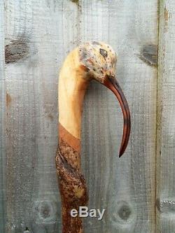 Curlew head carved by hand on spectacular hazel twister walking beating stick