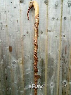 Curlew head carved by hand on spectacular hazel twister walking beating stick