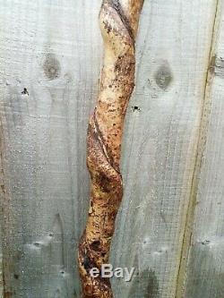 Curlew head carved by hand on spectacular hazel twister walking beating stick