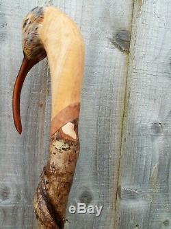 Curlew head carved by hand on spectacular hazel twister walking beating stick