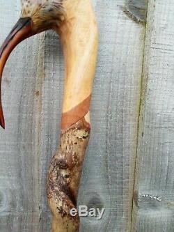 Curlew head carved by hand on spectacular hazel twister walking beating stick