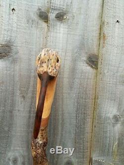 Curlew head carved by hand on spectacular hazel twister walking beating stick