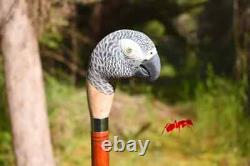 Custom wood walking stick, realistic african grey parrot wood bird, hand carved st