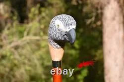 Custom wood walking stick, realistic african grey parrot wood bird, hand carved st