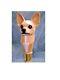 Dog Head Palm Grip Ergonomic Handle Carved Wooden Walking Stick Cane Chihuahua