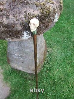 Edwardian Carved Skull Walking Stick Hallmarked Collar London Maker JH 1902/03