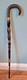 Edwardian Complete Carved Bovine Horn Walking Stick/Cane, Brass Collar OOAK