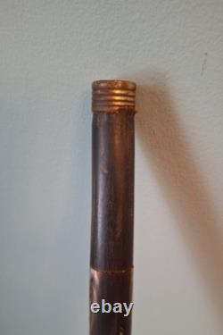 Edwardian Complete Carved Bovine Horn Walking Stick/Cane, Brass Collar OOAK
