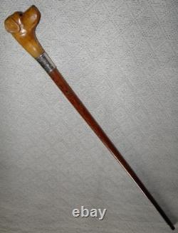 Edwardian Walking Stick / Cane Carved Labrador Dog Silver Collar Hallmarked 1908