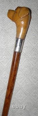 Edwardian Walking Stick / Cane Carved Labrador Dog Silver Collar Hallmarked 1908