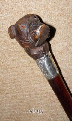 Edwardian Walking Stick Hand Carved Bulldog Head & Hallmarked 1902 Silver