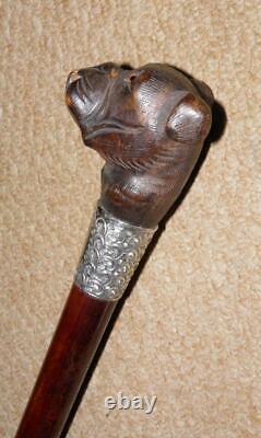 Edwardian Walking Stick Hand Carved Bulldog Head & Hallmarked 1902 Silver